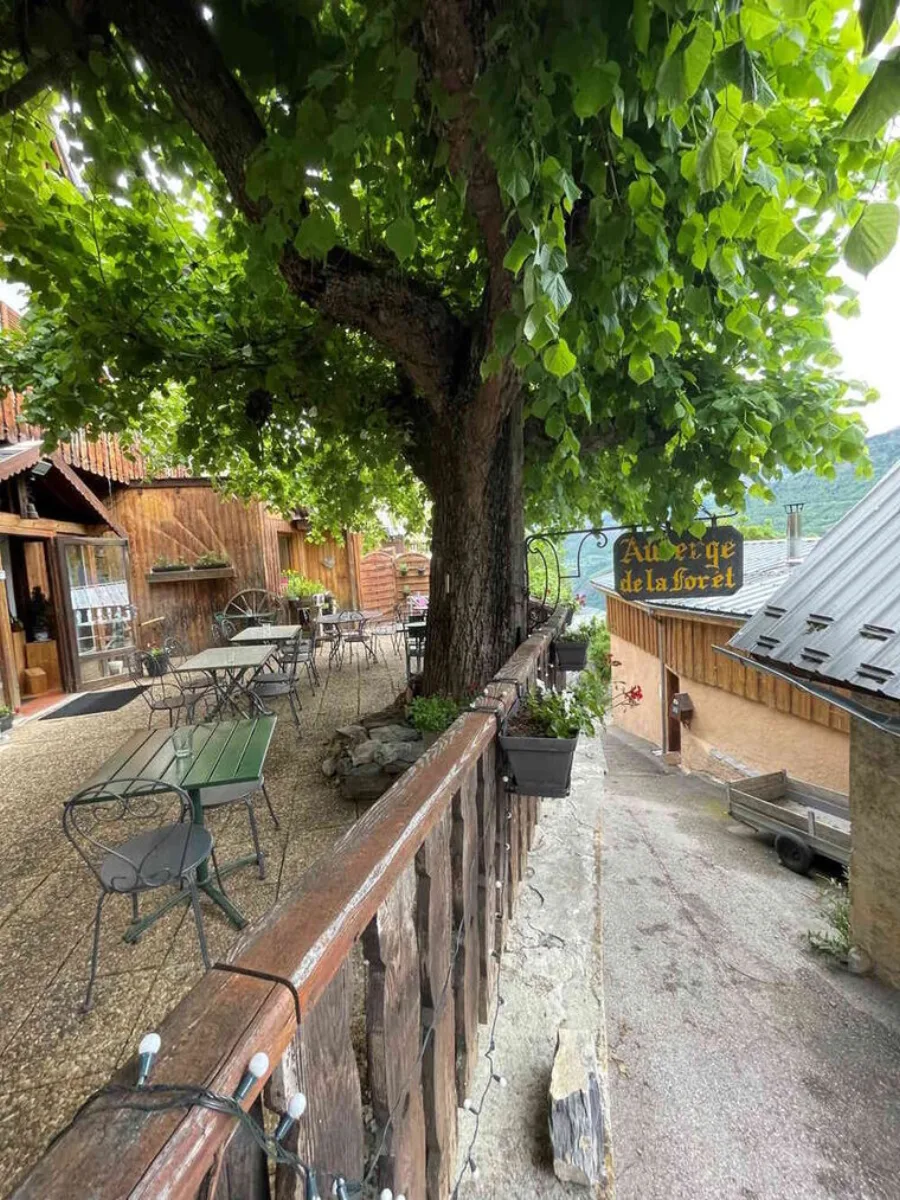 Terrasse ombragée de l'Auberge de la Forêt à Auris-en-Oisans
