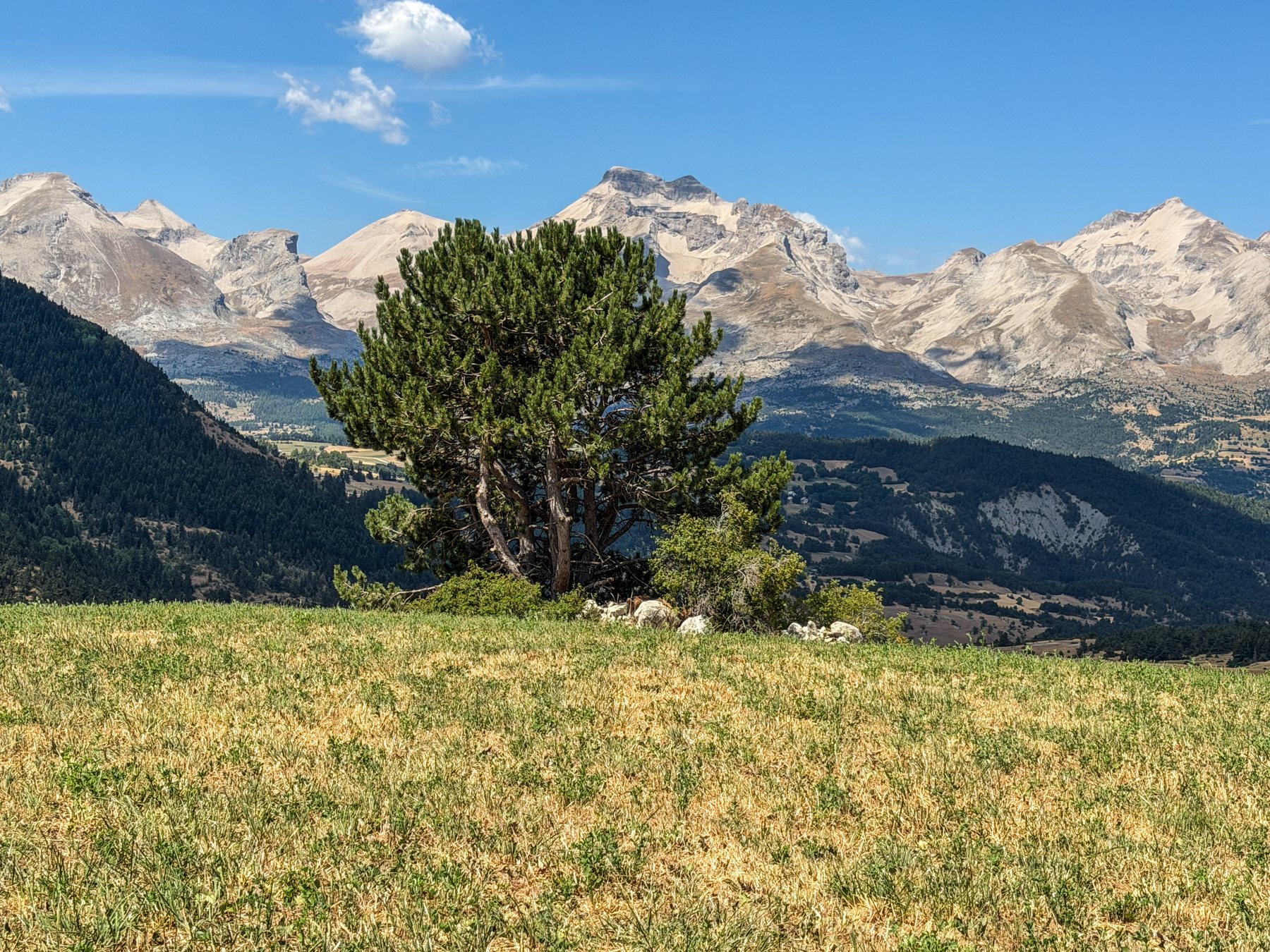 Les falaises calcaires du Dévoluy depuis les alpages