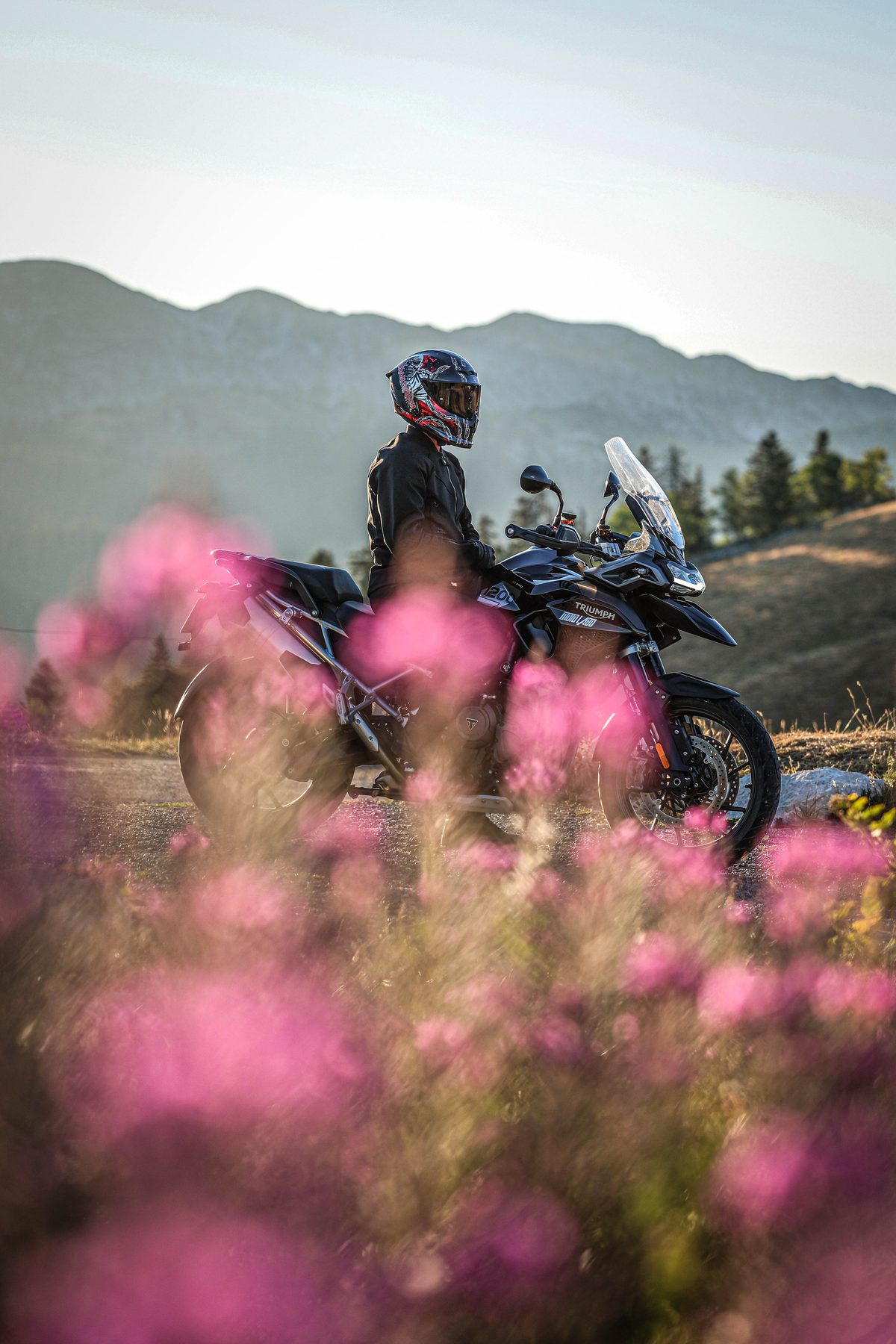 Les épilobes au premier plan et la Tiger Sport à l'arrêt, sur la route du Charmant Som