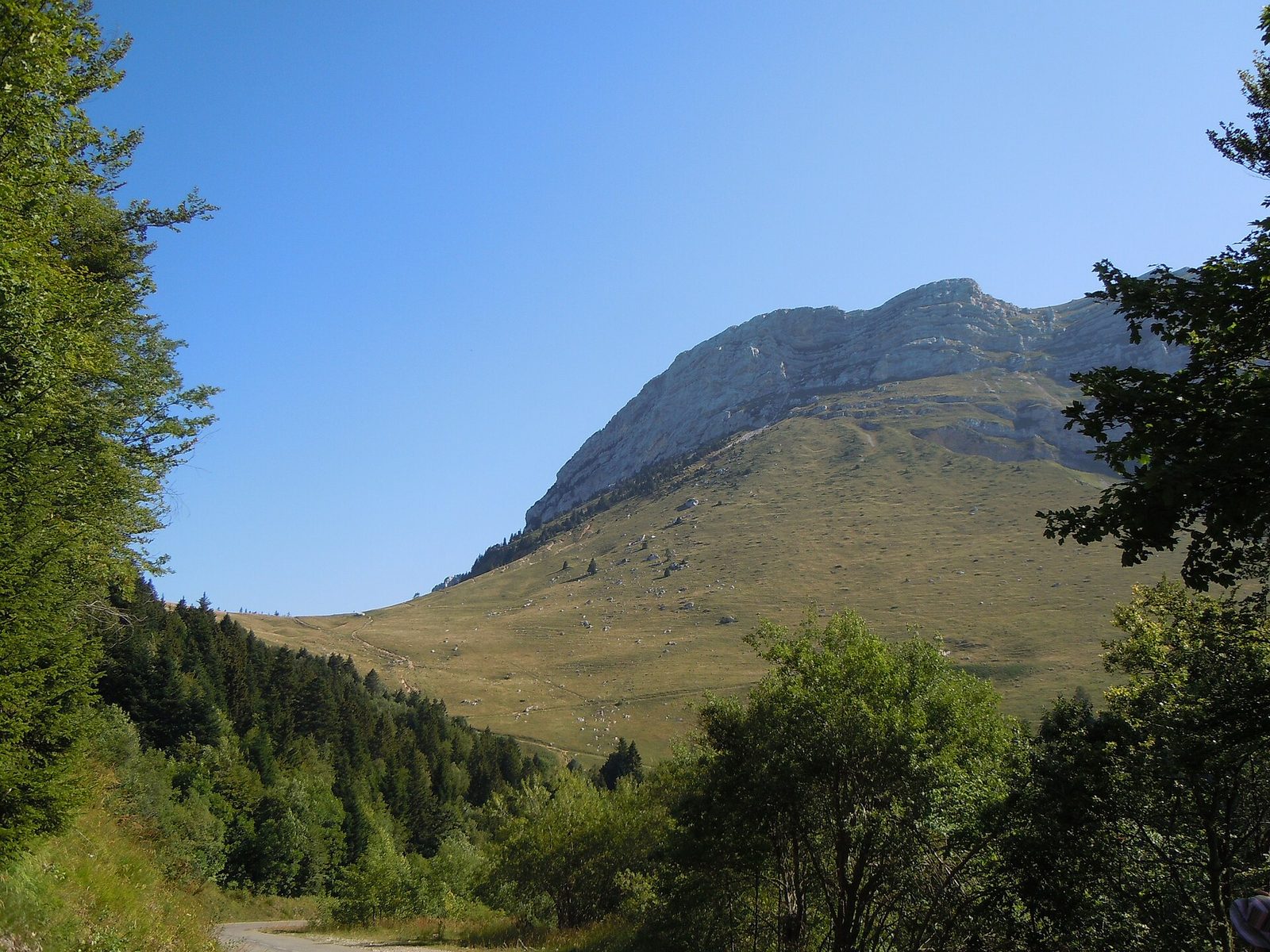 Le vallon depuis le col du Coq, à 1 434 m