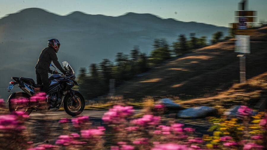 À moto sur la route du Charmant Som en Chartreuse, épilobes en fleur et panorama sur le massif