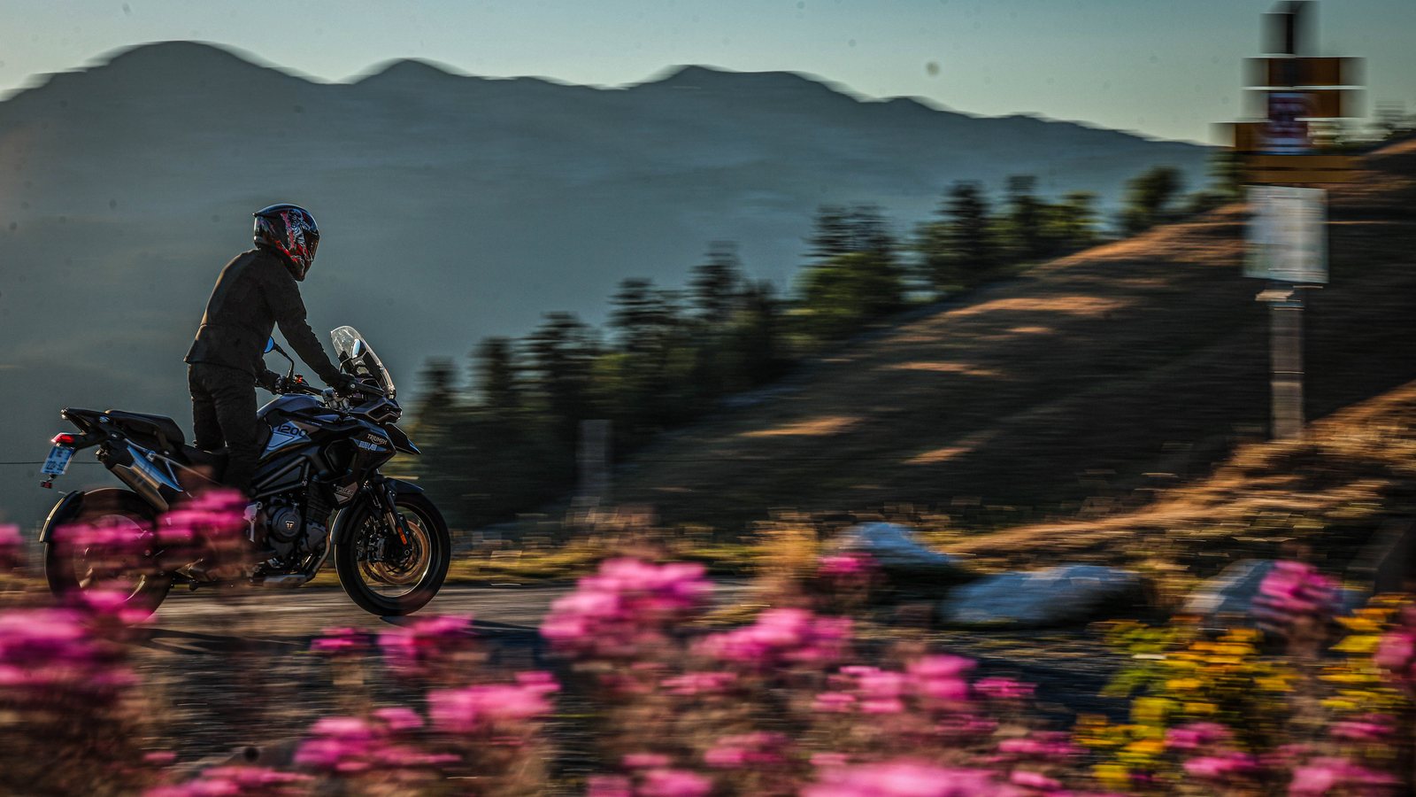 À moto sur la route du Charmant Som en Chartreuse, épilobes en fleur et panorama sur le massif
