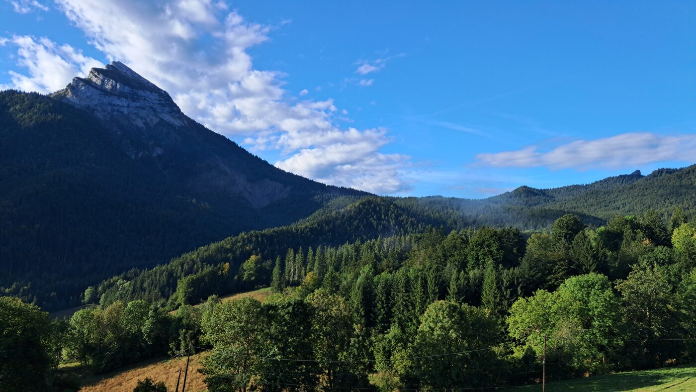 Chamechaude au-dessus de la forêt, depuis la route du col de Porte