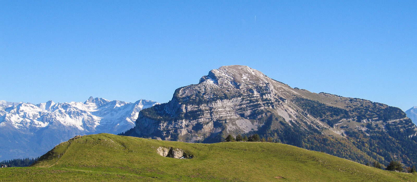 Chartreuse et Charmant Som